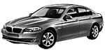 BMW F10 B14E9 Fault Code